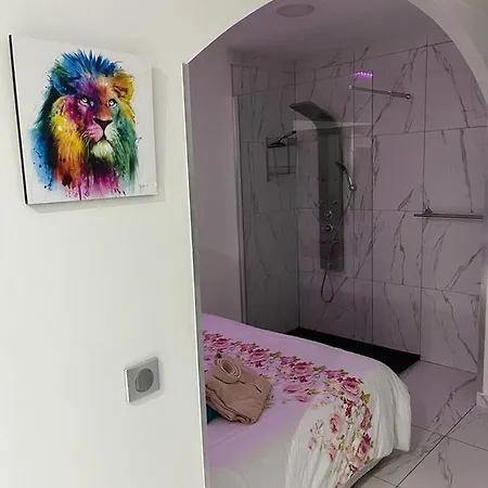 Apartment Jacuzzi Avec Jardin